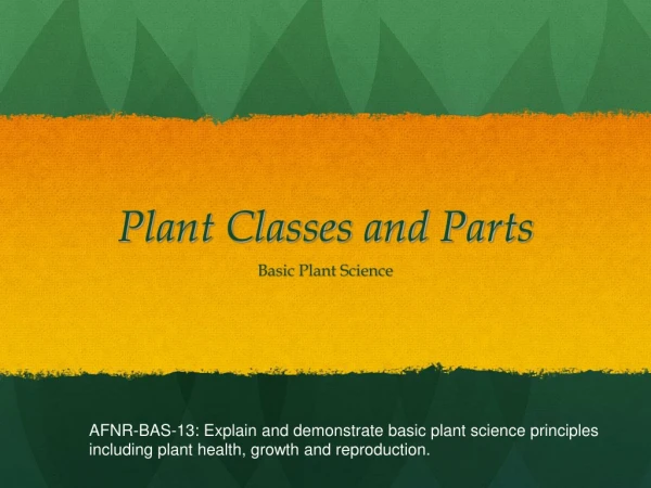 Plant Classes and Parts