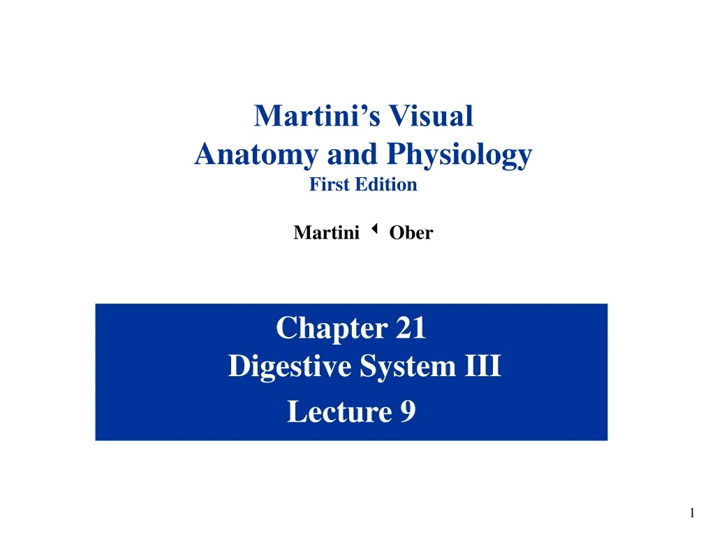 martini s visual anatomy and physiology first