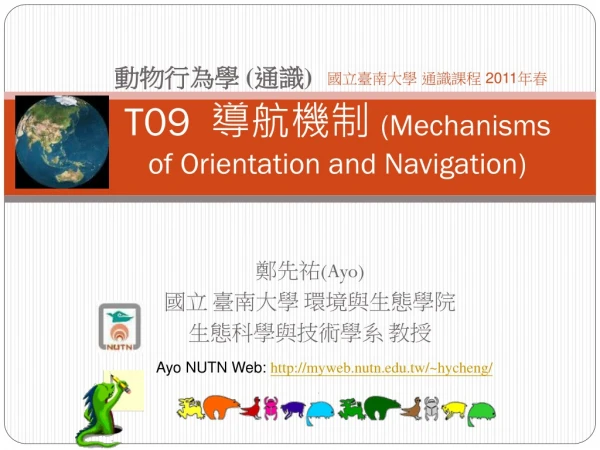 T09   導航機制  (Mechanisms of Orientation and Navigation)