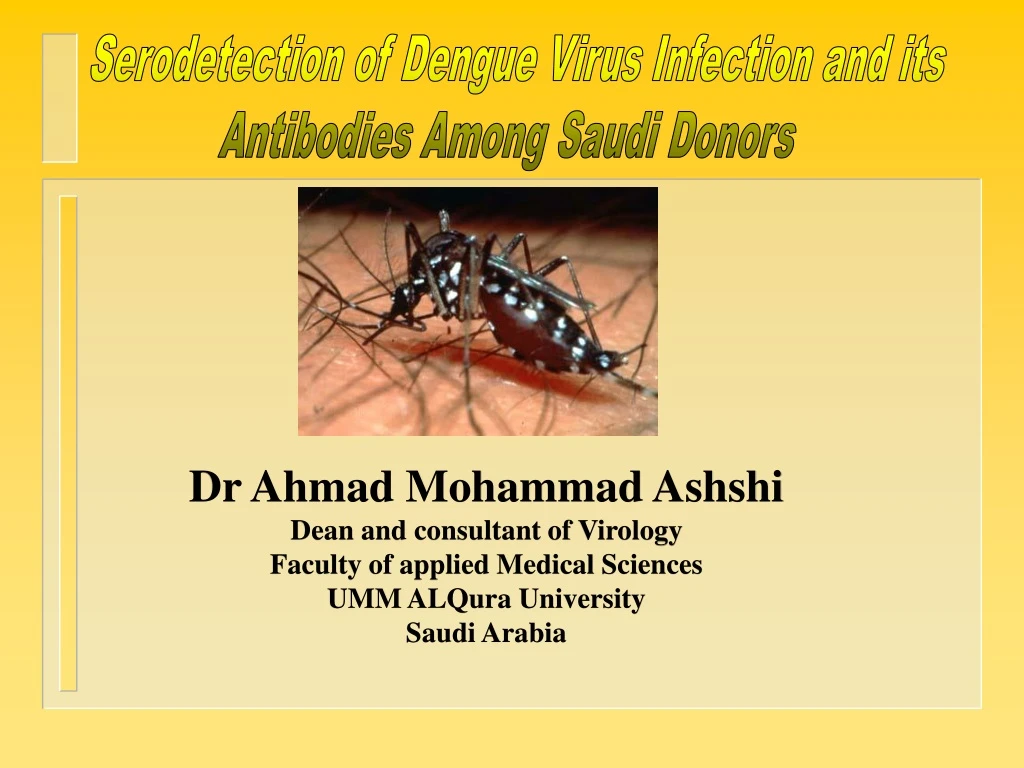 serodetection of dengue virus infection