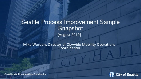Seattle Process Improvement Sample Snapshot