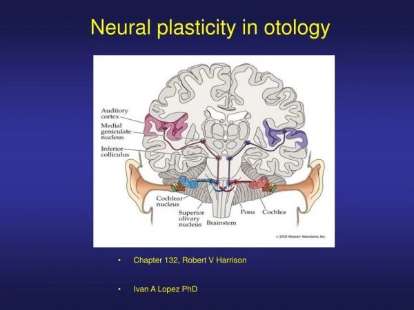 Neural plasticity in otology