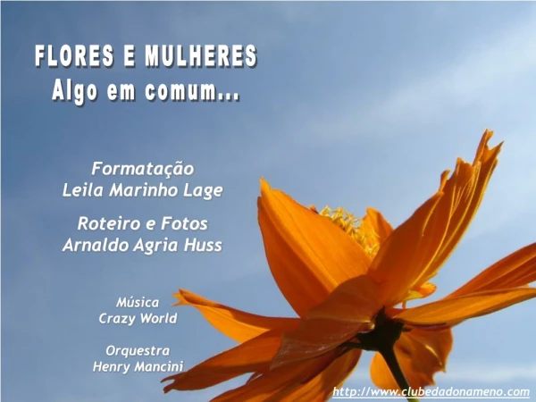 FLORES E MULHERES Algo em comum...