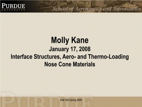 Molly Kane January 17, 2008 Interface Structures, Aero- and Thermo-Loading Nose Cone Materials