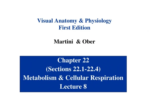 Visual Anatomy &amp; Physiology First Edition Martini  &amp; Ober
