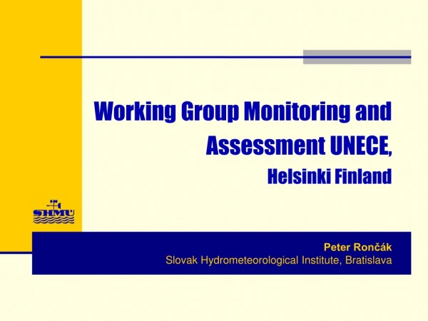 Working Group Monitoring and Assessment UNECE , Helsinki Finland