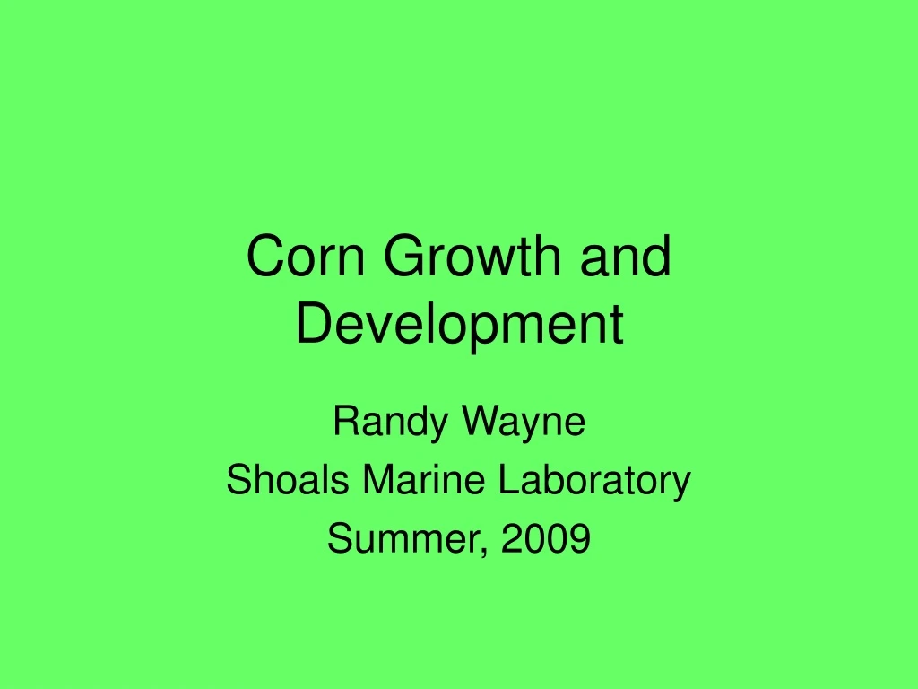 corn growth and development