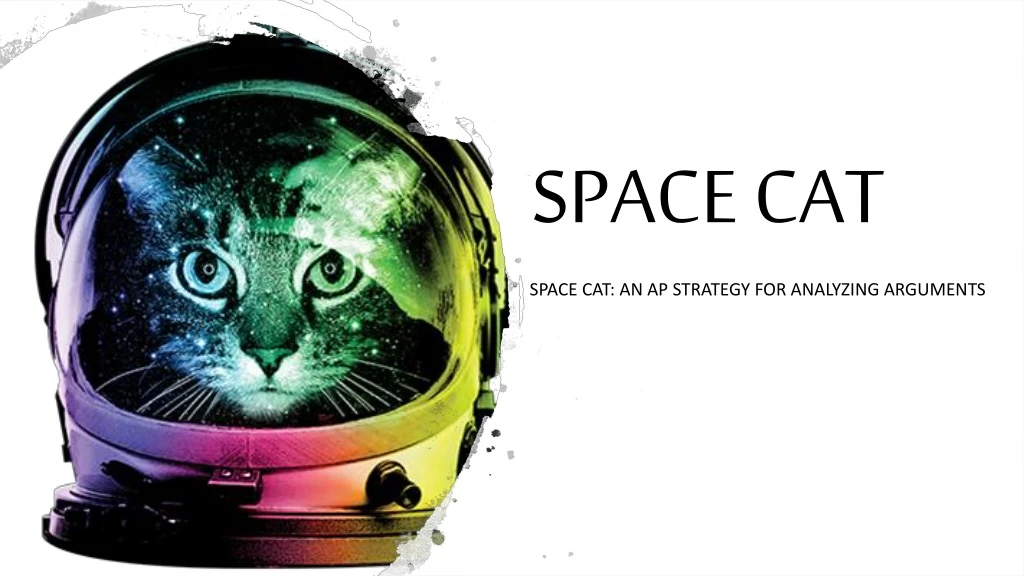 space cat