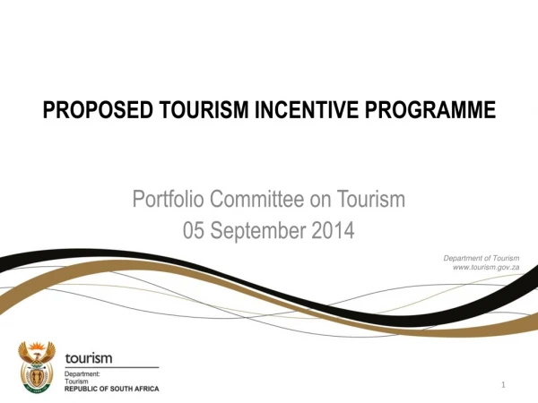 PROPOSED TOURISM INCENTIVE PROGRAMME