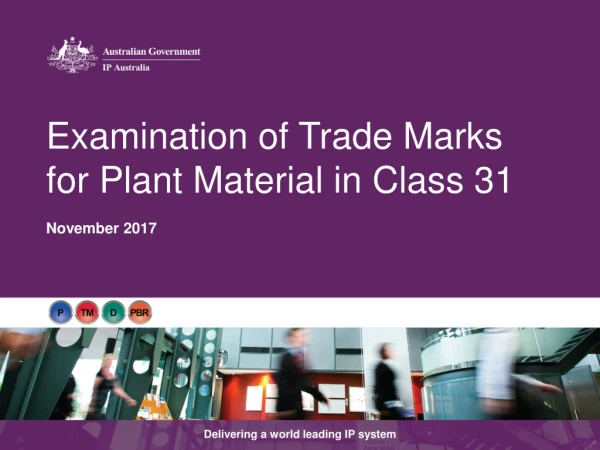 Examination of Trade Marks for Plant Material in Class 31