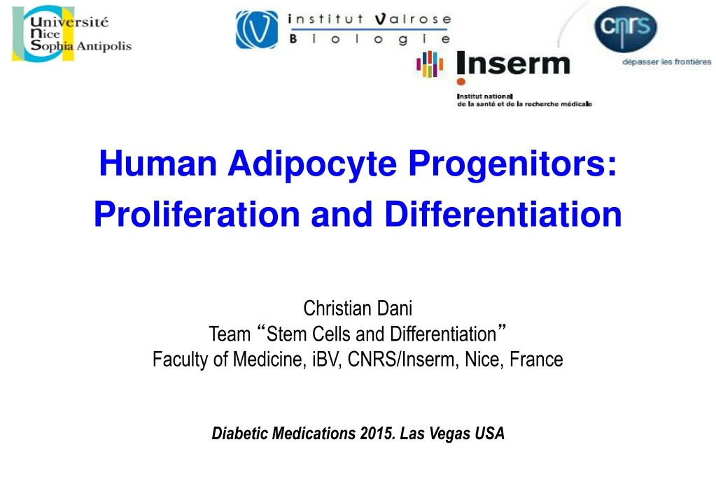 human adipocyte progenitors proliferation