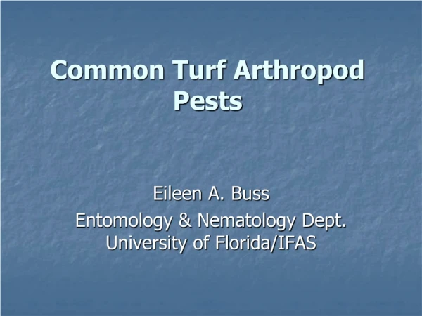 Common Turf Arthropod Pests