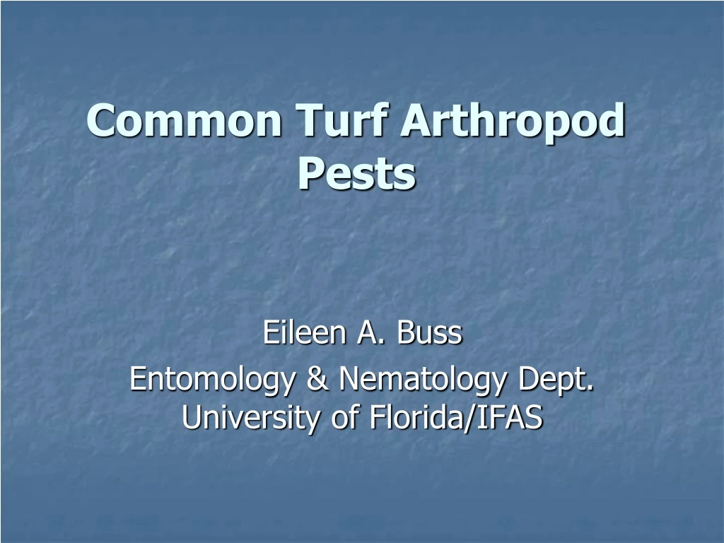 common turf arthropod pests