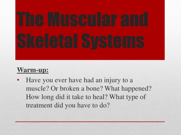 The Muscular and Skeletal Systems