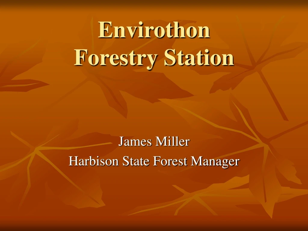 envirothon forestry station