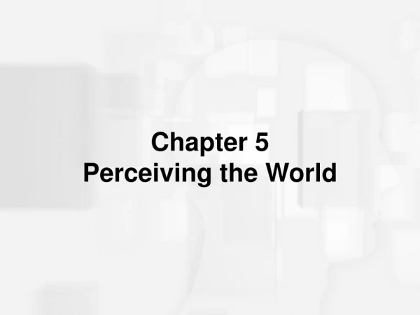 Chapter 5 Perceiving the World