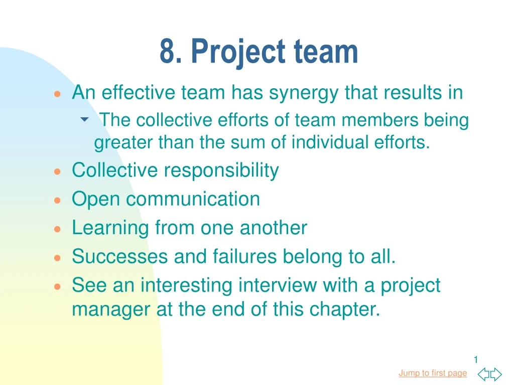 8 project team