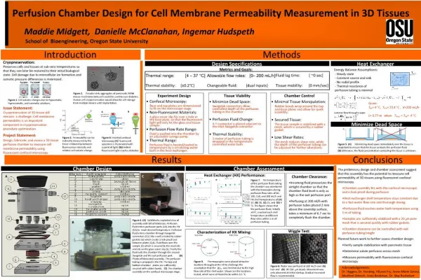 Perfusion Chamber Design for Cell Membrane Permeability Measurement in 3D Tissues