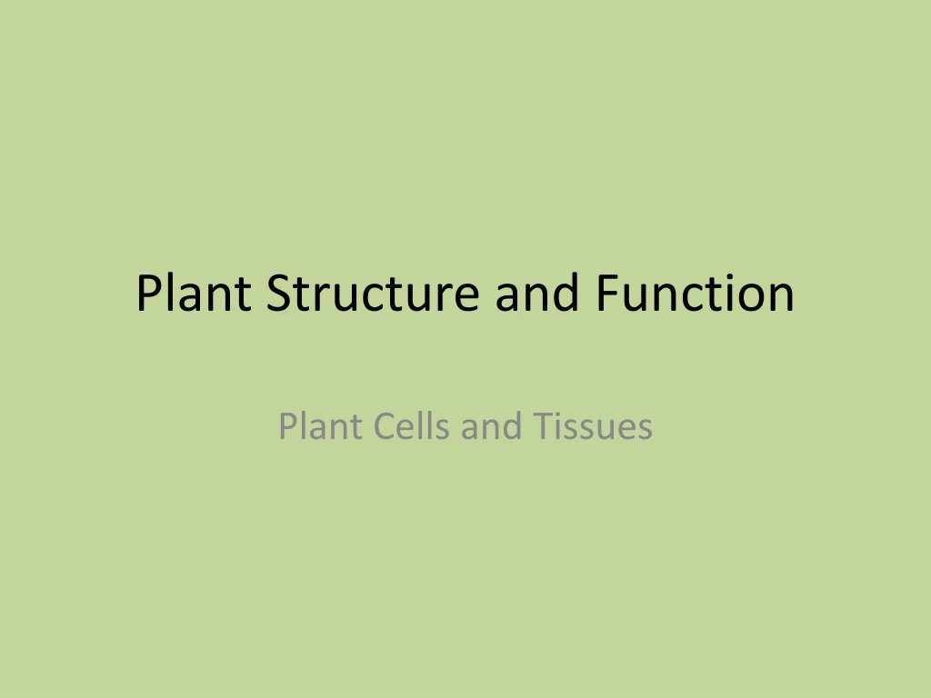 plant structure and function