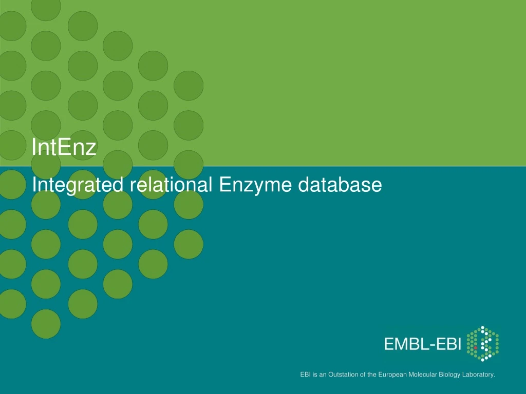 integrated relational enzyme database