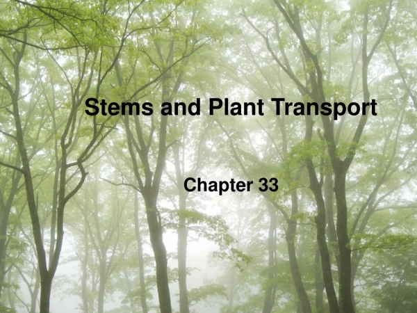 Stems and Plant Transport Chapter 33