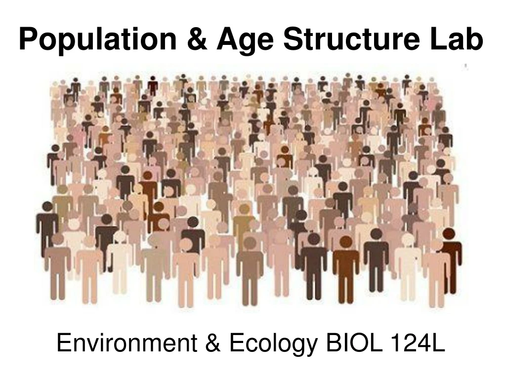 population age structure lab