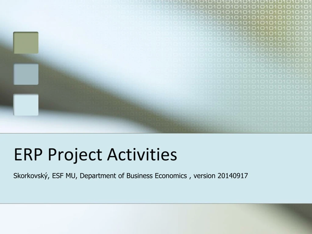 erp project activities