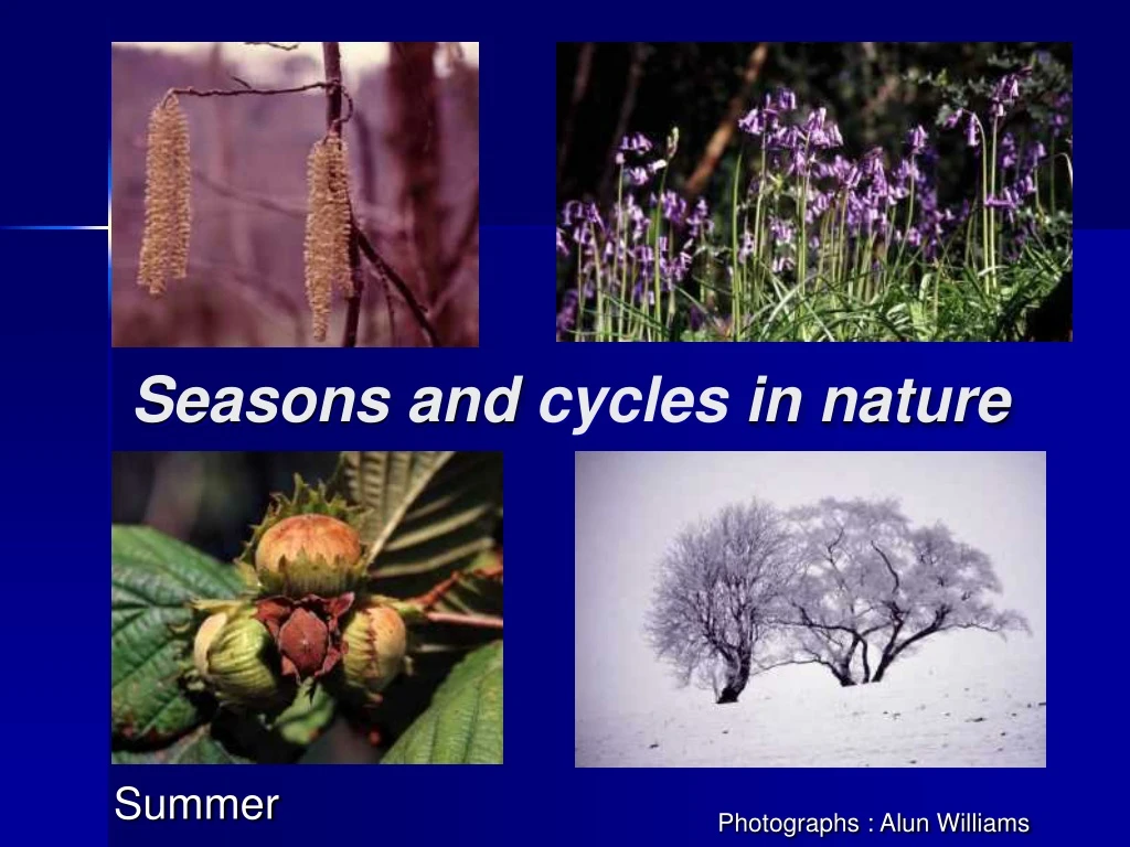 seasons and cycles in nature