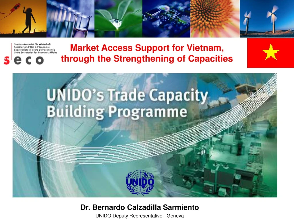 market access support for vietnam through
