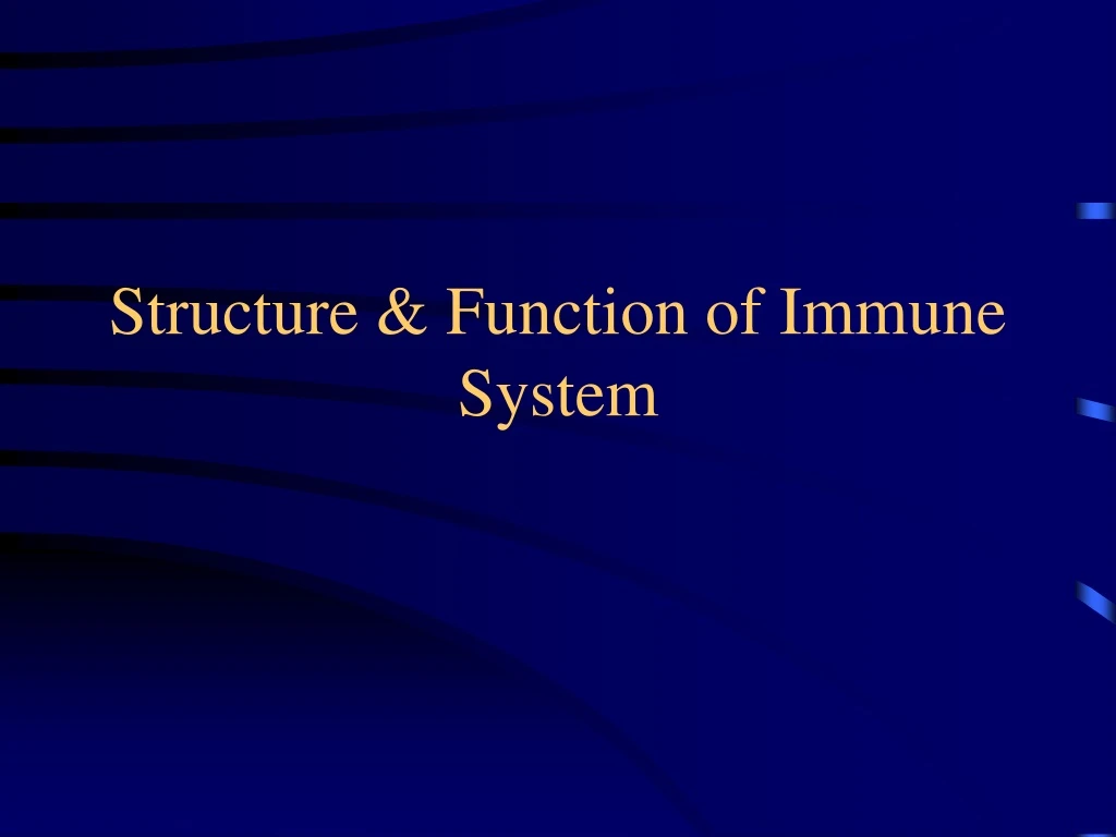 structure function of immune system