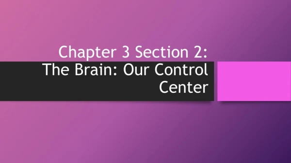 Chapter 3 Section 2:  The Brain: Our Control Center
