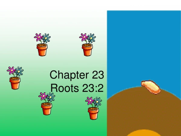 Chapter 23 Roots 23:2