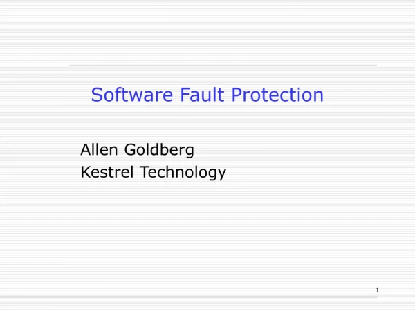 Software Fault Protection