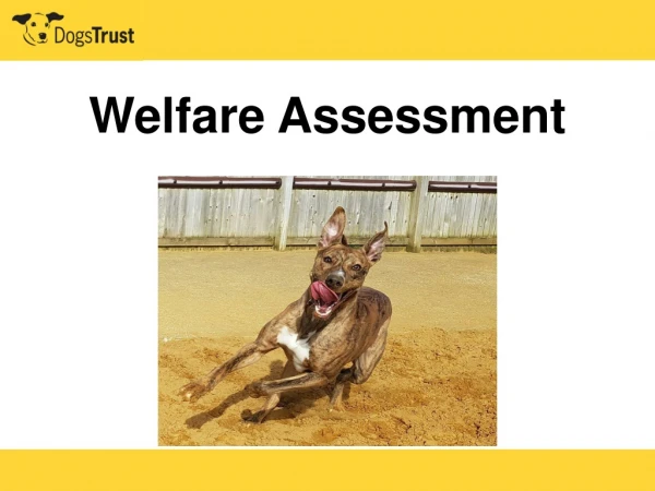 Welfare Assessment