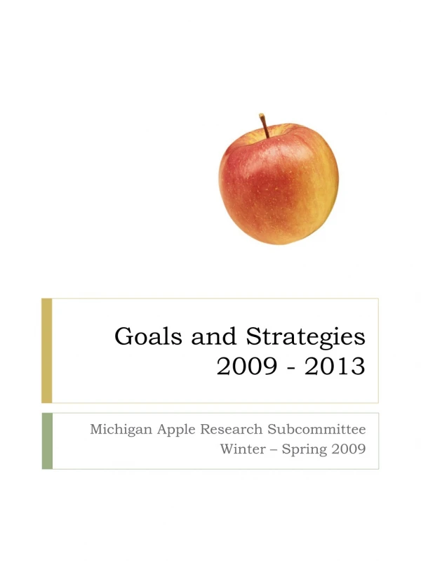 Goals and Strategies 2009 - 2013