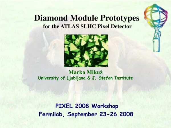 Diamond Module Prototypes for the ATLAS SLHC Pixel Detector