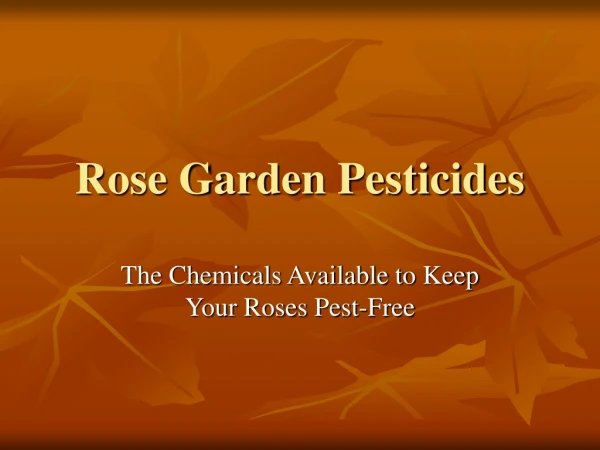 Rose Garden Pesticides