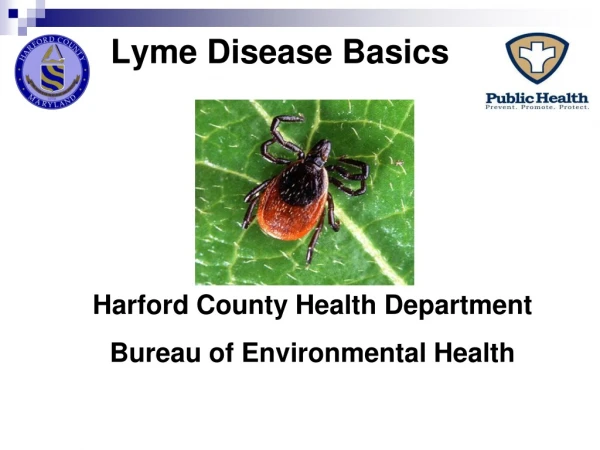 Lyme Disease Basics