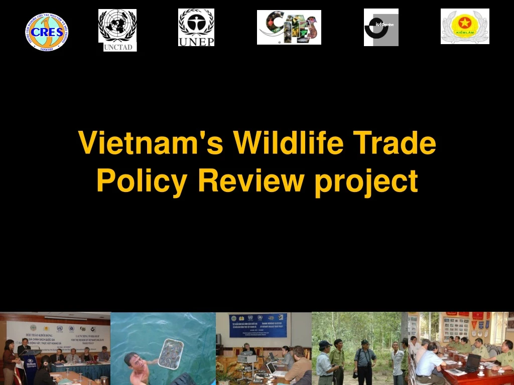 vietnam s wildlife trade policy review project