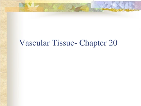 Vascular Tissue- Chapter 20
