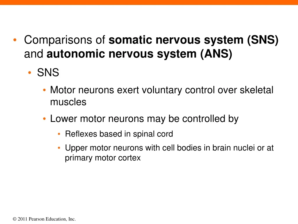 comparisons of somatic nervous system