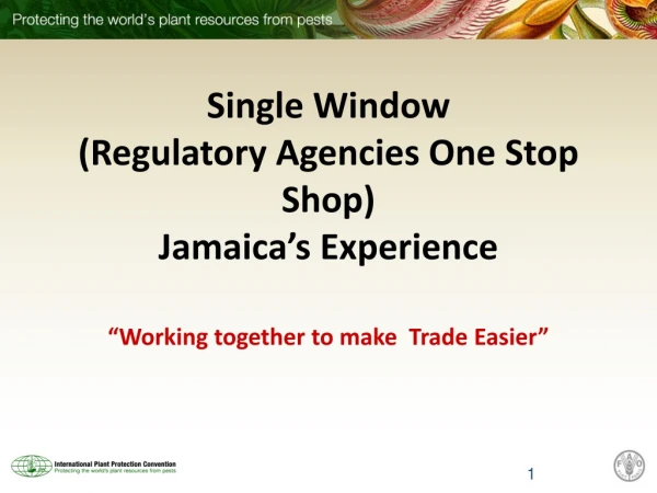 Single Window (Regulatory Agencies One Stop Shop) Jamaica’s Experience