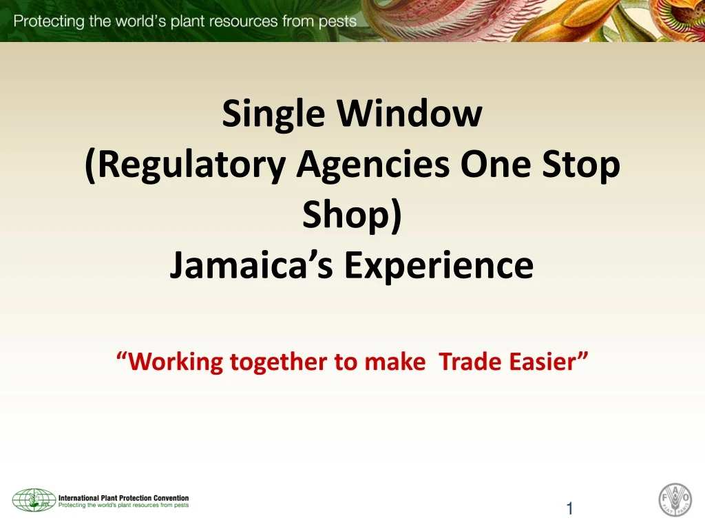 single window regulatory agencies one stop shop jamaica s experience
