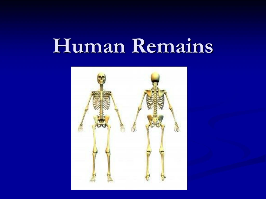 human remains
