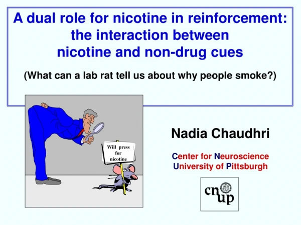 A dual role for nicotine in reinforcement:  the interaction between  nicotine and non-drug cues