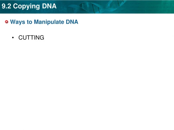Ways to Manipulate DNA