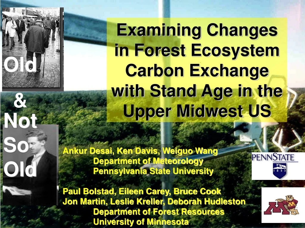 examining changes in forest ecosystem carbon
