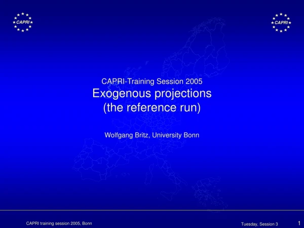 CAPRI-Training Session 2005 Exogenous projections (the reference run)