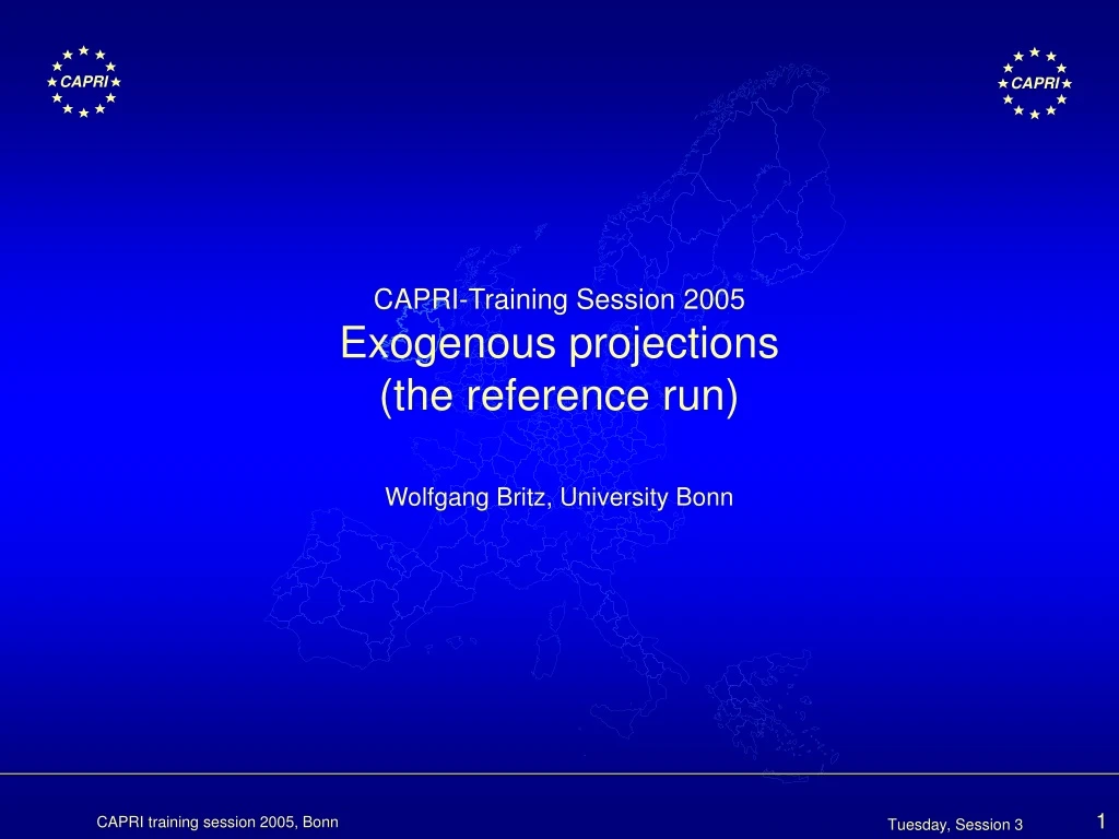 capri training session 2005 exogenous projections the reference run