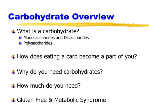 Carbohydrate Overview